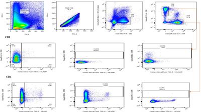 An in vitro study to elucidate the effects of Product Nkabinde on immune response in peripheral blood mononuclear cells of healthy donors